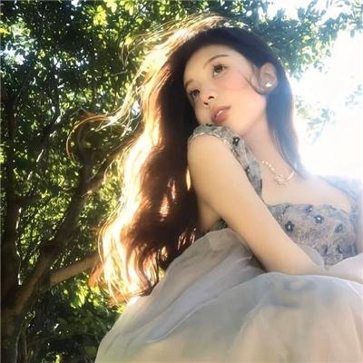 尼斯警花 海报